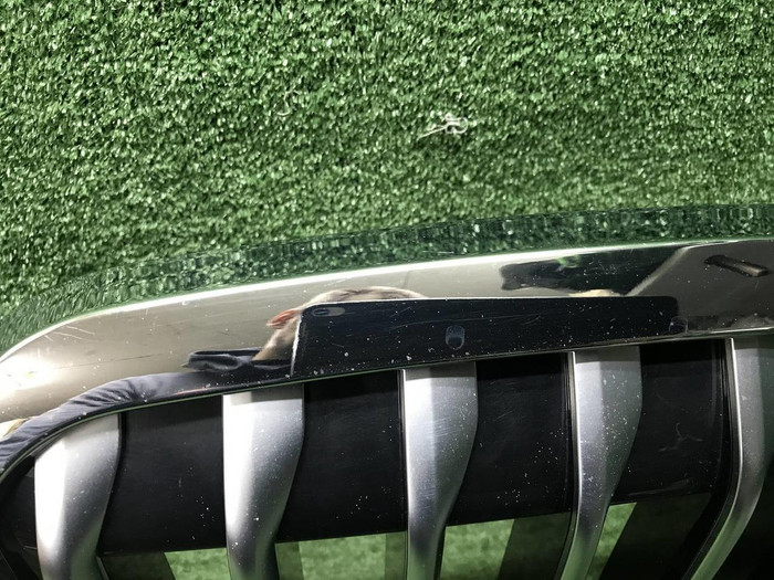 Решетка радиатора BMW X7 G07 (2019-2022)