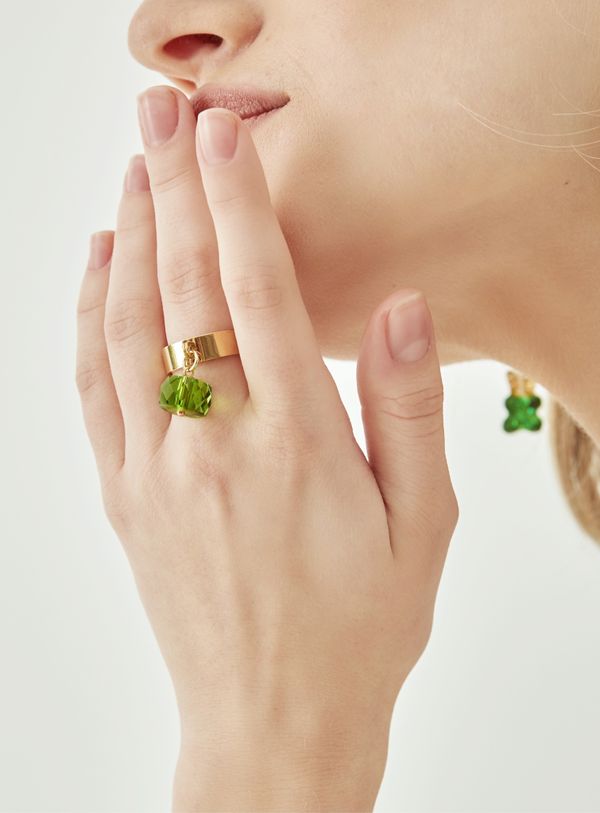 Кольцо-основа