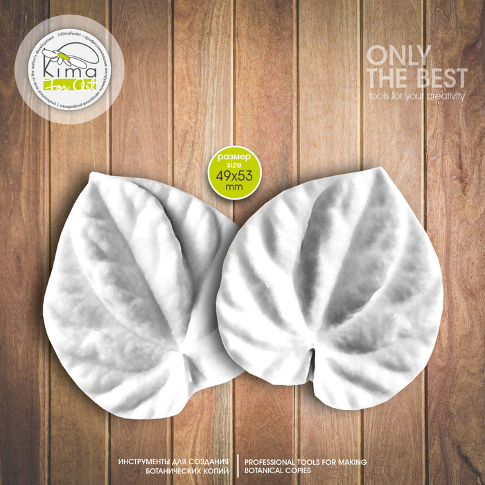 Пеперомия лист средний