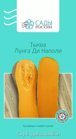 Тыква семена