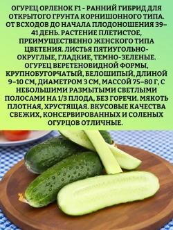 Семена Огурец гибрид ОрлёнокF1 2 гр