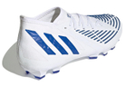 Кроссовки Adidas Predator Edge.2 Hgag