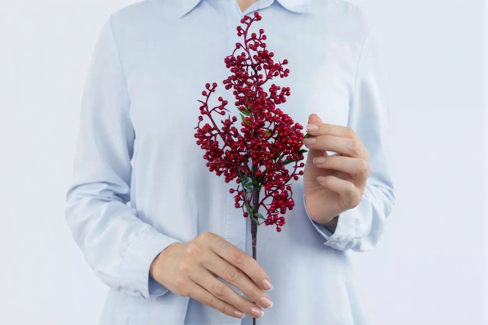 Илекс ветка малая