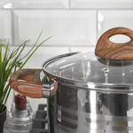 Кастрюля 5л нерж "Foresta"