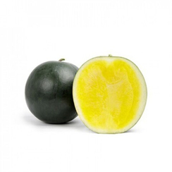 ТРОПИКАЛ САНШАЙН F1 семена арбуза (Rijk Zwaan | Alexagro)