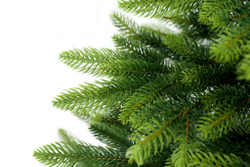 TAIGA 100%PU Ель искусственная Тайга литая 100% 180 см