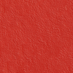 Искусственная кожа Nergis (Нергис) 204