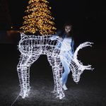 Световая фигура оленя «Рудольф»