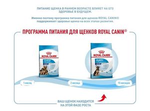 Корм для щенков крупных пород, Royal Canin Maxi Puppy