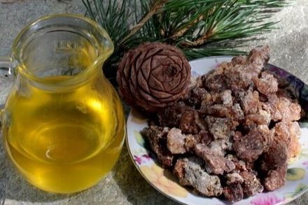 Живица на маслах