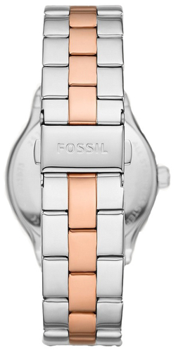 Наручные часы Fossil BQ3873