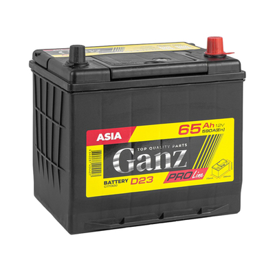 Аккумулятор GANZ PRO-Line JIS 65 А/ч обратный R+ 230x173x220 D23 EN 590 А