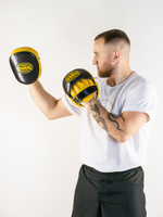 Лапы тренерские LEADERS T-AIR BUMBLEBEE черно-желтые