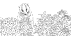 Gifts from animals Birth Moon Flower. Coloring Book