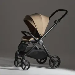 Коляска ANEX iQ 2 в 1 Honey