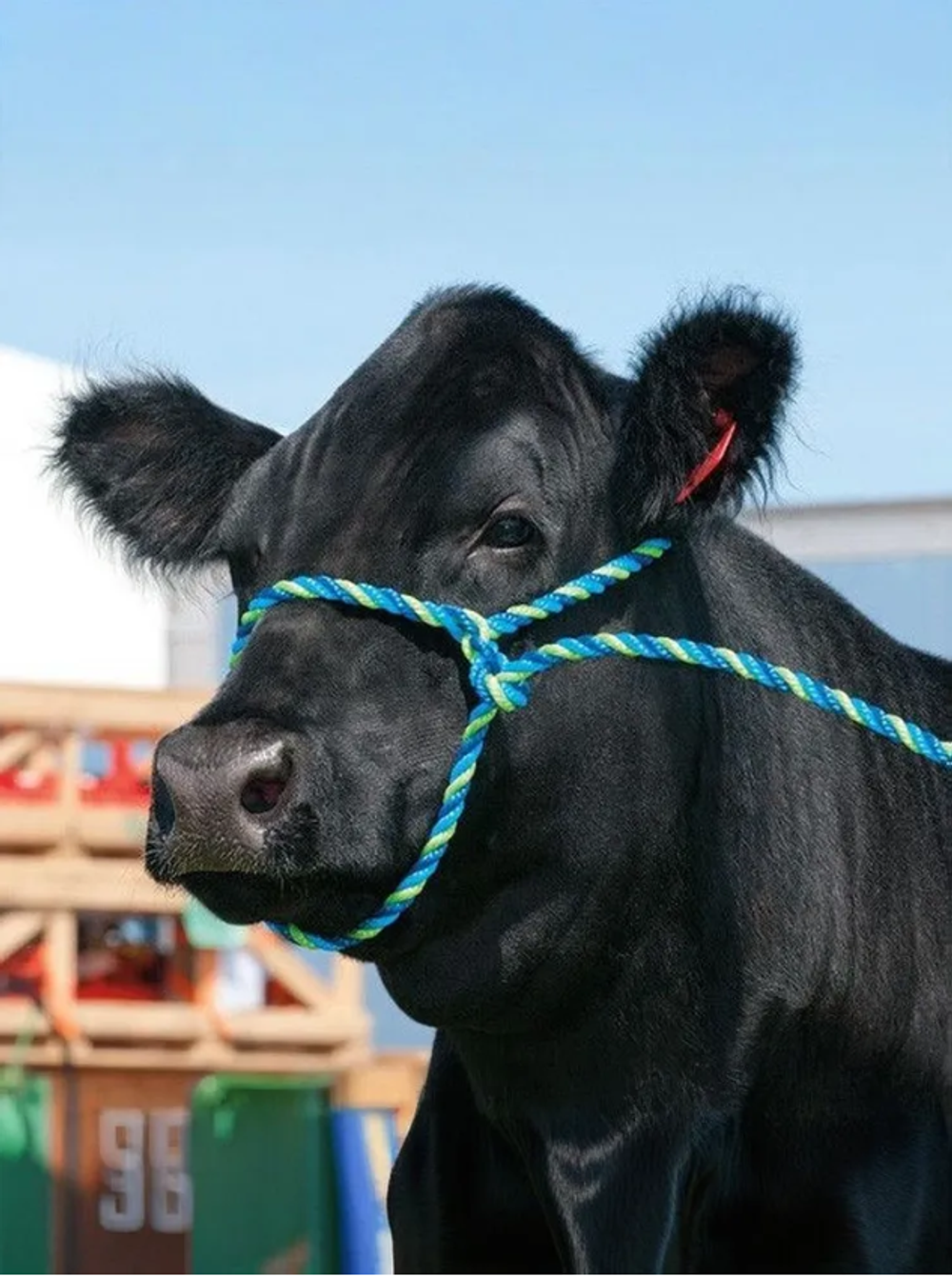 Аркан 6 м, d=14 мм