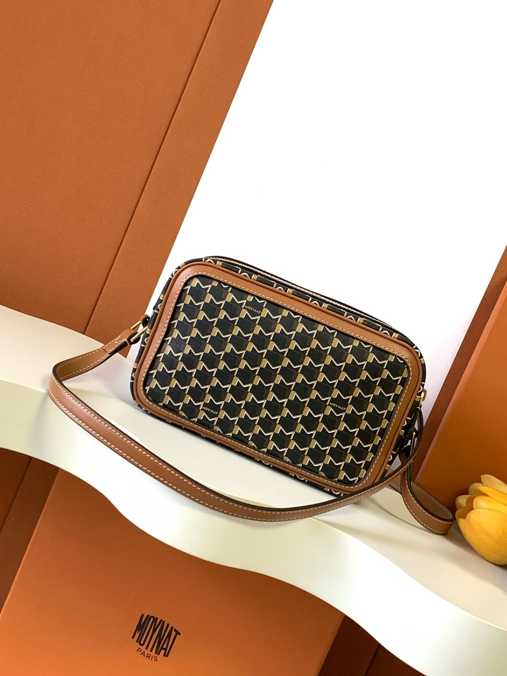 Moynat Camera Bag 22 cm