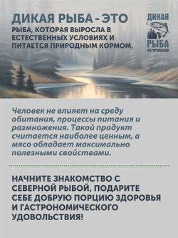 Уха из судака ТАЁЖНЫЙ ЦЕХ 340 г
