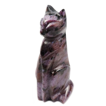 Кошка "Нора" чароит