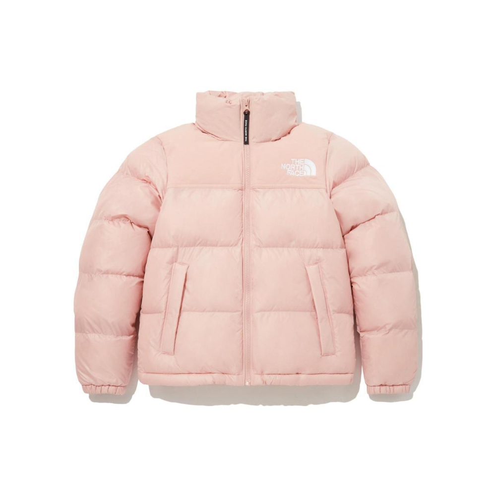 Куртки THE NORTH FACE FW23 Nuptse ON BALL, NJ3NP85C