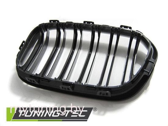 Решетка (ноздри) радиатора GLOSSY BLACK DOUBLE BAR для BMW 1 F20 F21 LCI