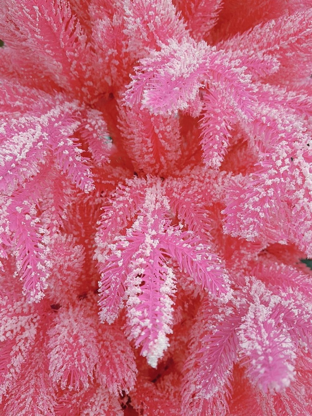 Заснеженная розовая елка «Фэнтези» (Литая хвоя) 250 см / 2,5 м