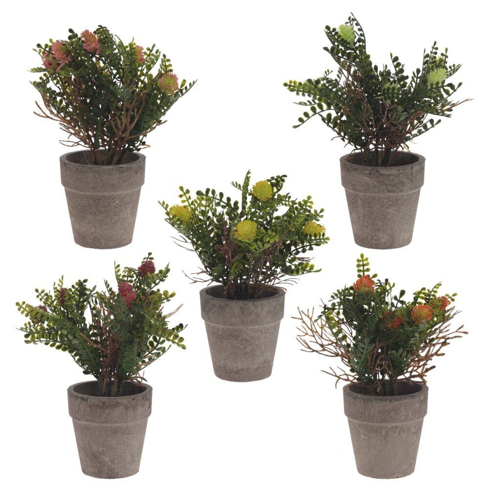 GAEM Цветочная композиция, L9 W9 H18 см, 5в.