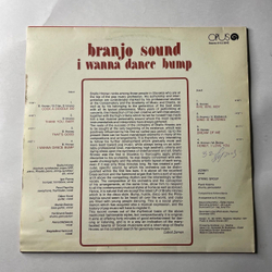 Винтажная виниловая пластинка LP Branjo Sound, I Wanna Dance Bump (Чехословакия 1978)