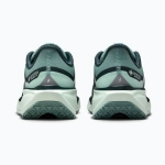 Женские Кроссовки для бега Nike Pegasus 41 GORE-TEX cannon/barely green/bleached turq