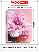 Набор постеров "Розовый пион" 3шт.