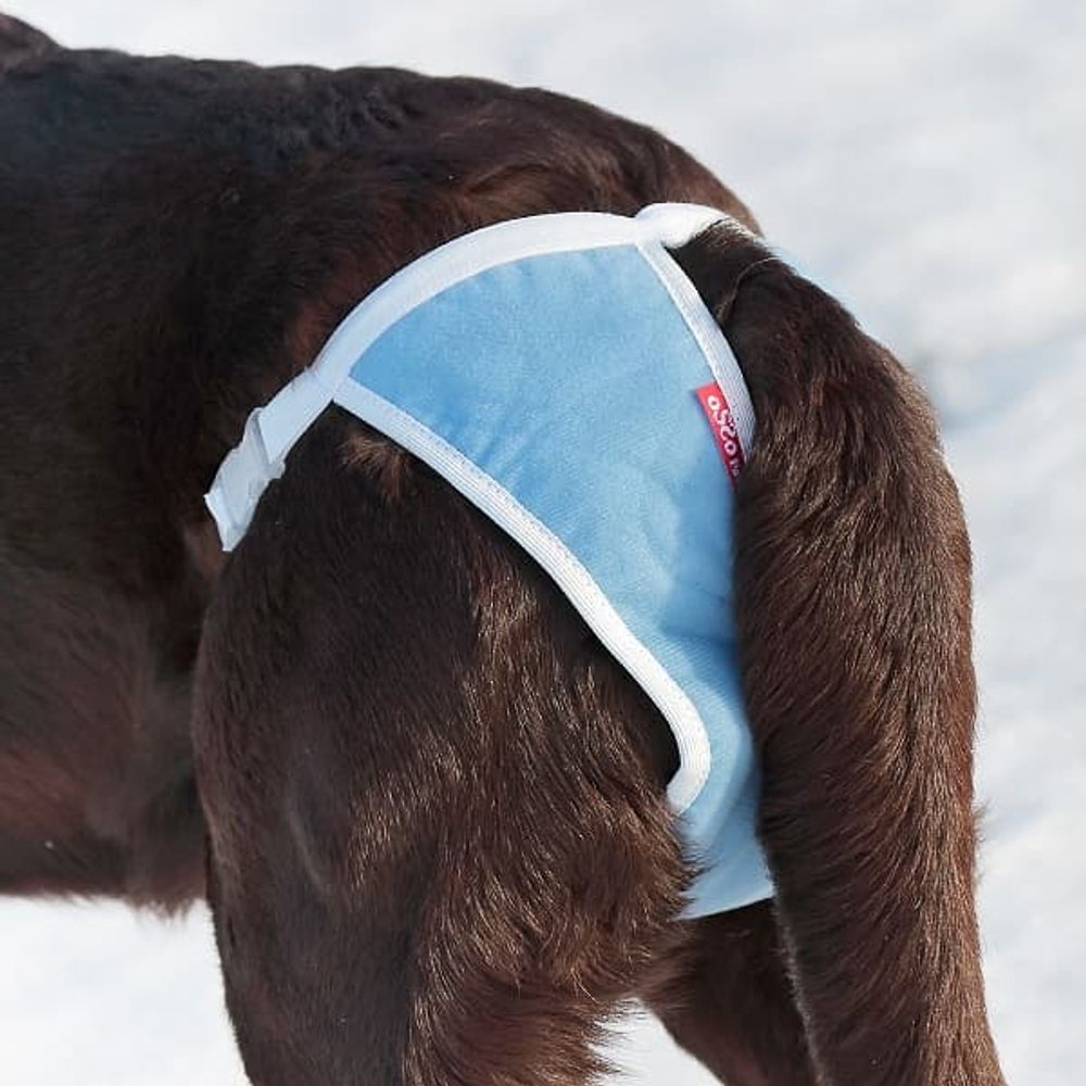 Трусы для собак многоразовые ABSORB OSSO Fashion р. XXL