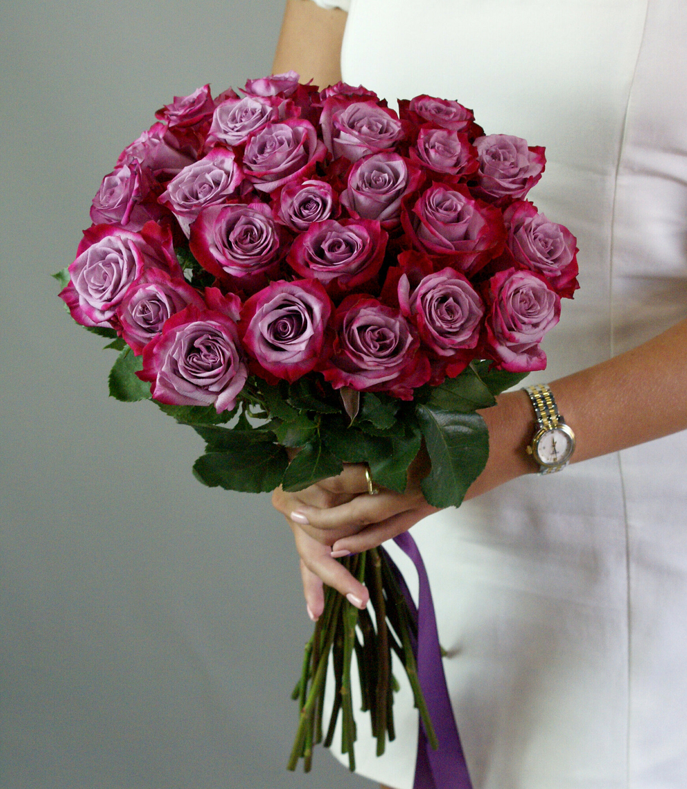 Розы фиолетовые Эквадор 25 штук, "Дип Пёрпл" 49 см под ленту