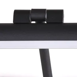 Подсветка для картин Arte Lamp