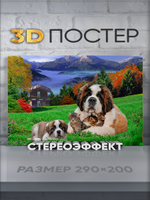 Стереопостер с 3D-эффектом "Сенбернары"