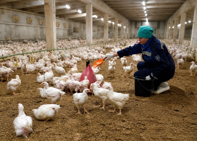 <span>Доставка Фермерских продуктов по Екатеринбургу на дом</span>