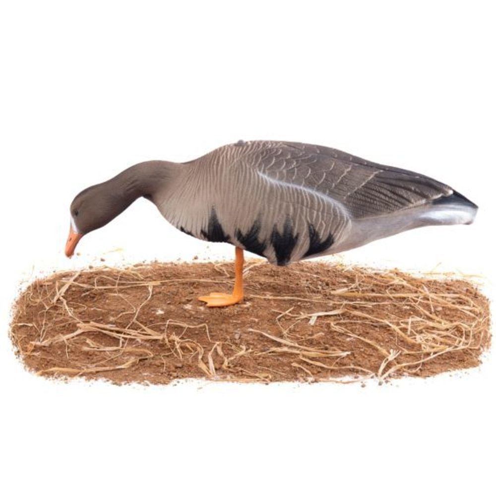 Комплект чучел Гусь Белолобый (10шт) S-XPE B622X-UV "Живое перо",  "North Way"