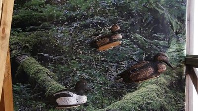 Исторический тир Кочевник