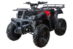 Квадроцикл взрослый YACOTA SELA 200 бензин