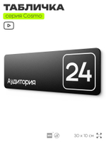 Таблички с номером аудитории "Аудитория №24", для офиса, 30 х 10 см, серия COSMO 3010, черная, Айдентика Технолоджи