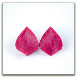 Листья берёзы