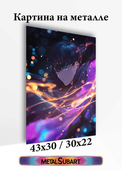Картина на стену на металле от MetallSubArt "Solo leveling"