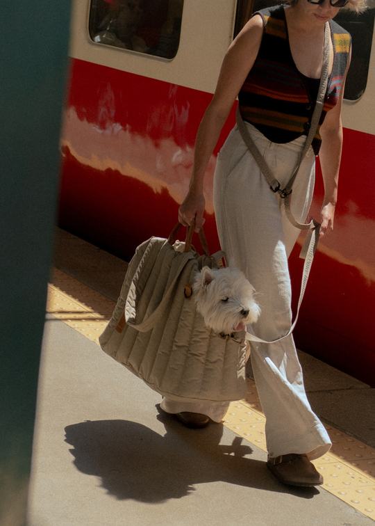 Сумка-переноска Пони бежевая