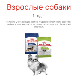 Взрослые собаки