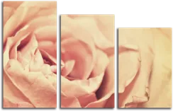 Модульная картина "Бутон розы"