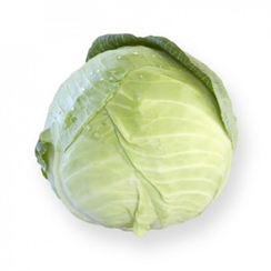 Марчелло F1 семена капусты белокочанной (Rijk Zwaan / Райк Цваан)