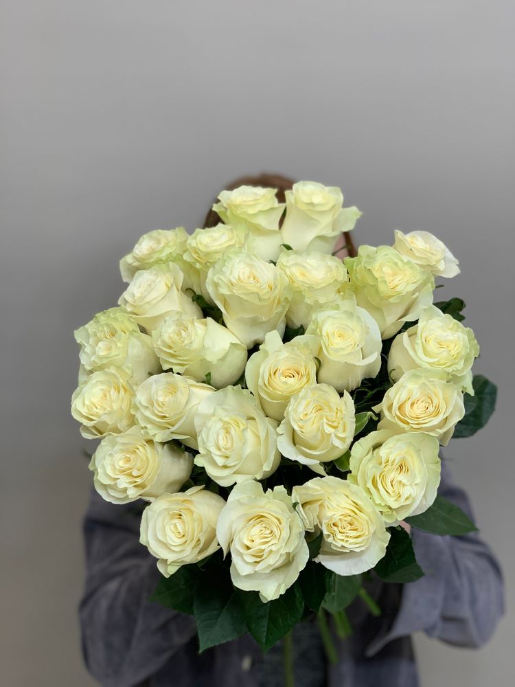 Букет 25 белых роз Эквадор 50см в ленте