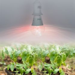 LED-A60-10W-SPM3-E27-CL PLP35WH MULTIPLANT Лампа светодиодная для растений. Форма A. прозрачная. Три спектра для проращивания. роста и цветения. Картон. ТМ Uniel