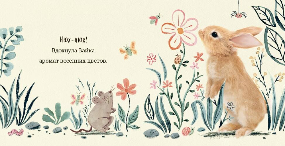 Крошка Зайка