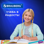 набор чертежный большой BRAUBERG "FRUITY" (линейка 30 см 2 треугольника транспортир) ассорти пенал (6 штук в упаковке)