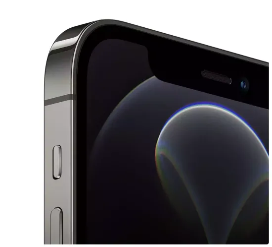 iPhone 12 Pro Max 256 GB Graphite (Графитовый)
